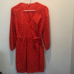 Long sleeve springtime dress